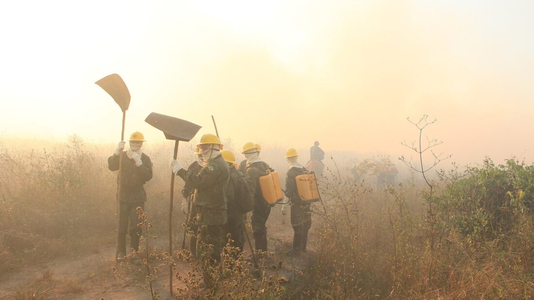 Brigadistas com capacetes amarelos e abafadores caminham em meio à fumaça em área de vegetação seca
