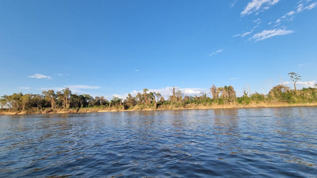 Rio largo de águas azuis com faixa de vegetação nativa na margem oposta, sob céu claro