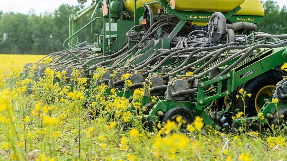 Plantadeira verde e amarela trabalha em plantio direto sobre palhada, com flores amarelas em primeiro plano