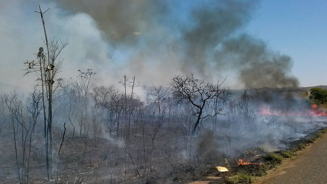 Vegetação seca do Cerrado em chamas, com fumaça escura, ao lado de uma via asfaltada
