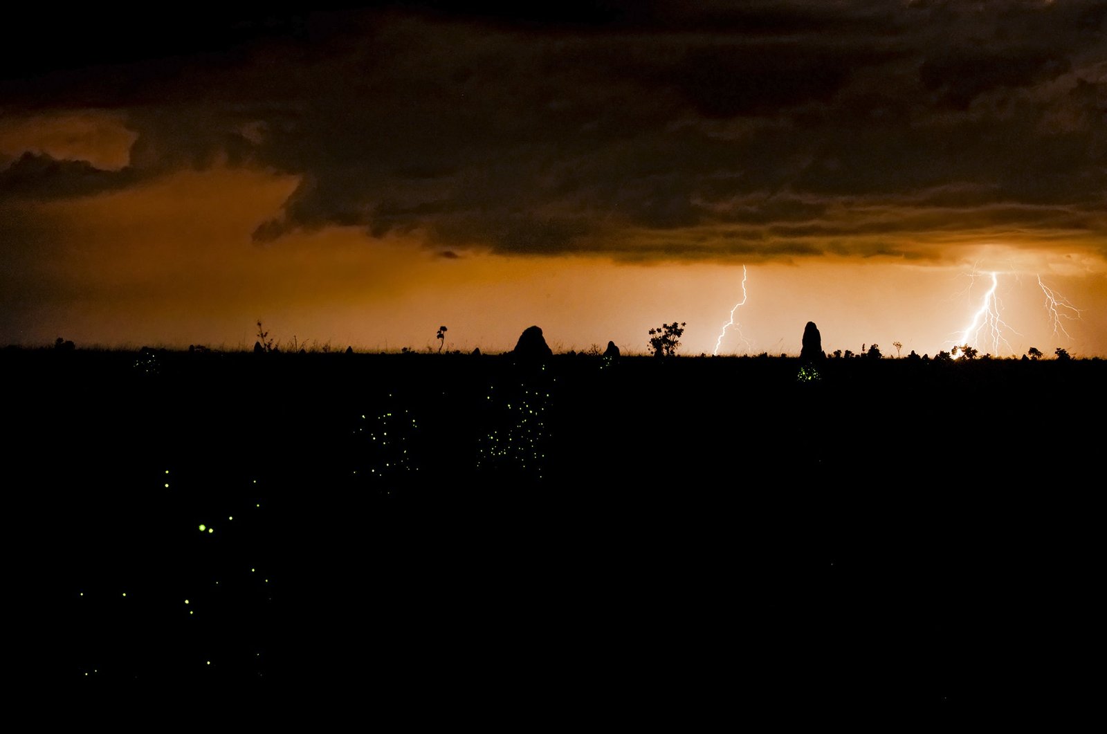Paisagem noturna de campo do Cerrado com cupinzeiros salpicados de pequenos pontos de luz e raios no horizonte, sob nuvens alaranjadas