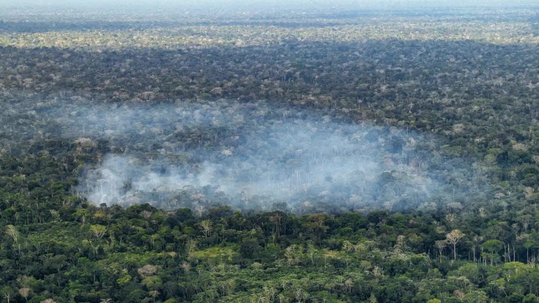 Vista aérea da floresta amazônica com uma grande faixa de fumaça branca subindo de uma área queimada no meio das árvores