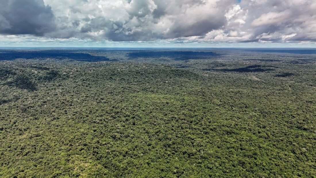 Vista aérea de uma floresta densa e contínua até o horizonte, sob céu com muitas nuvens, na Floresta Nacional do Tapajós