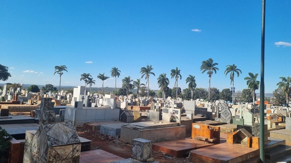 Túmulos e jazigos do Cemitério Municipal Parque, em Goiânia, com palmeiras ao fundo, sob céu azul