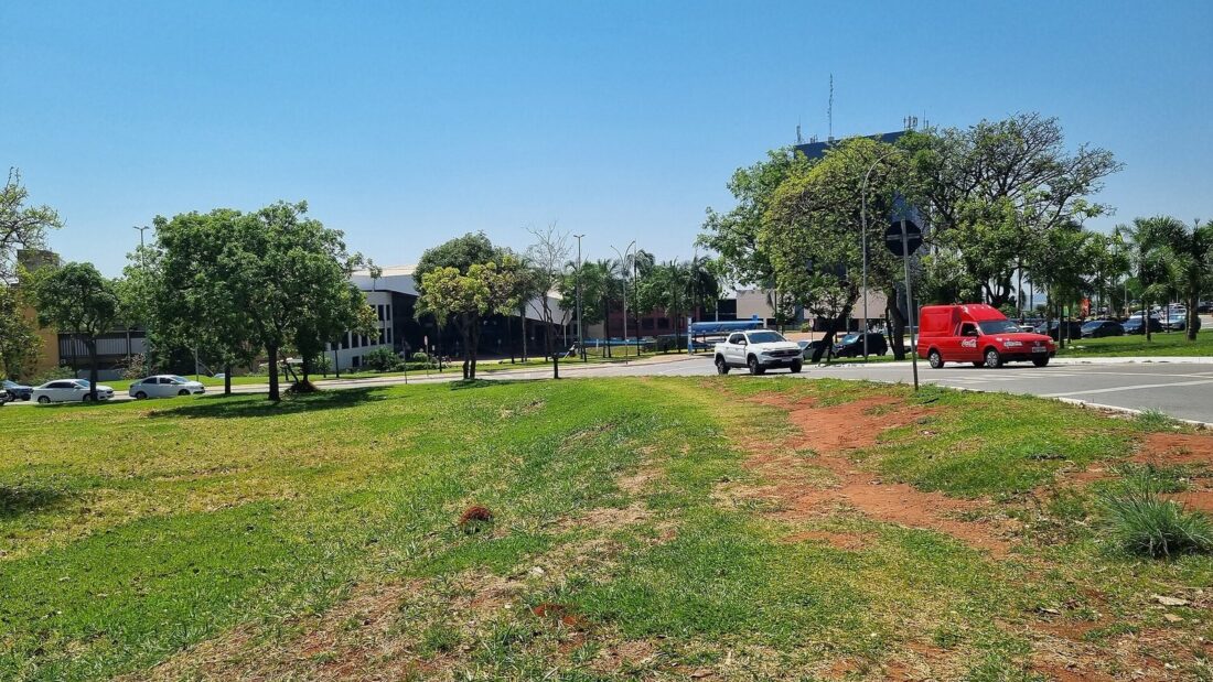 Gramado com árvores e carros estacionados na área externa do Paço Municipal de Goiânia, em dia de céu azul
