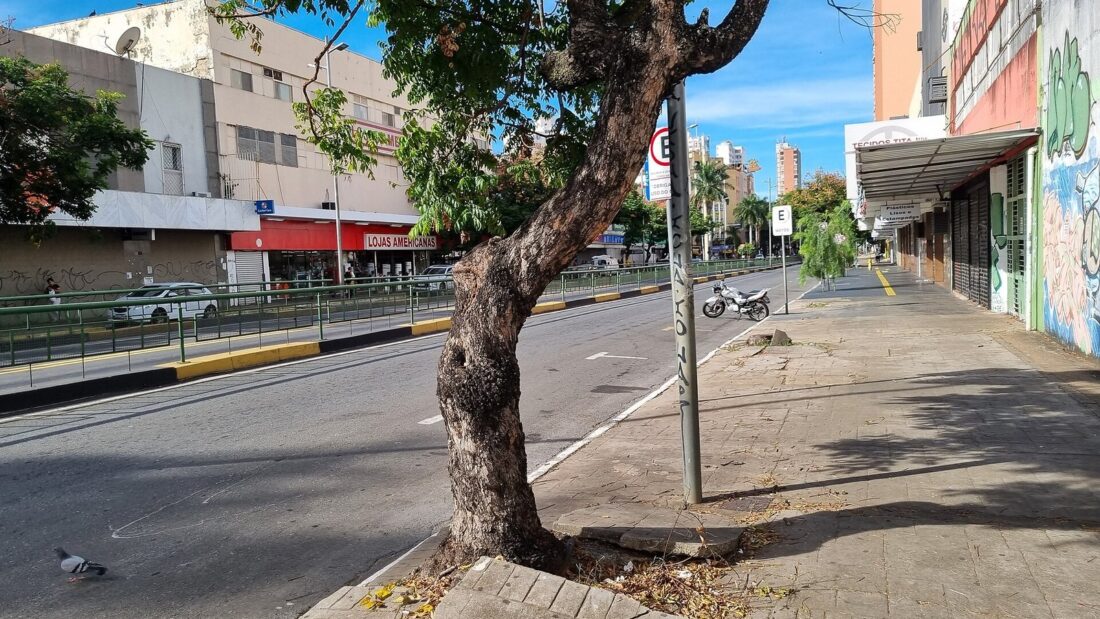 Calçada e pista da Avenida Anhanguera, no Centro de Goiânia, com árvore em primeiro plano e prédios comerciais