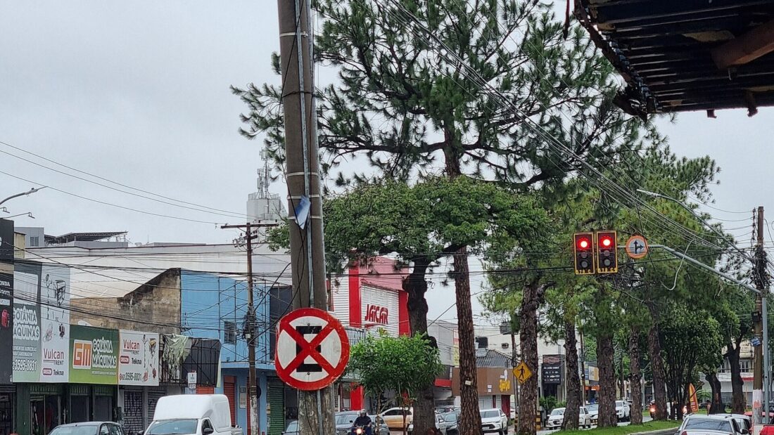 Avenida molhada pela chuva em Goiânia, com carros, postes e árvores sob céu nublado