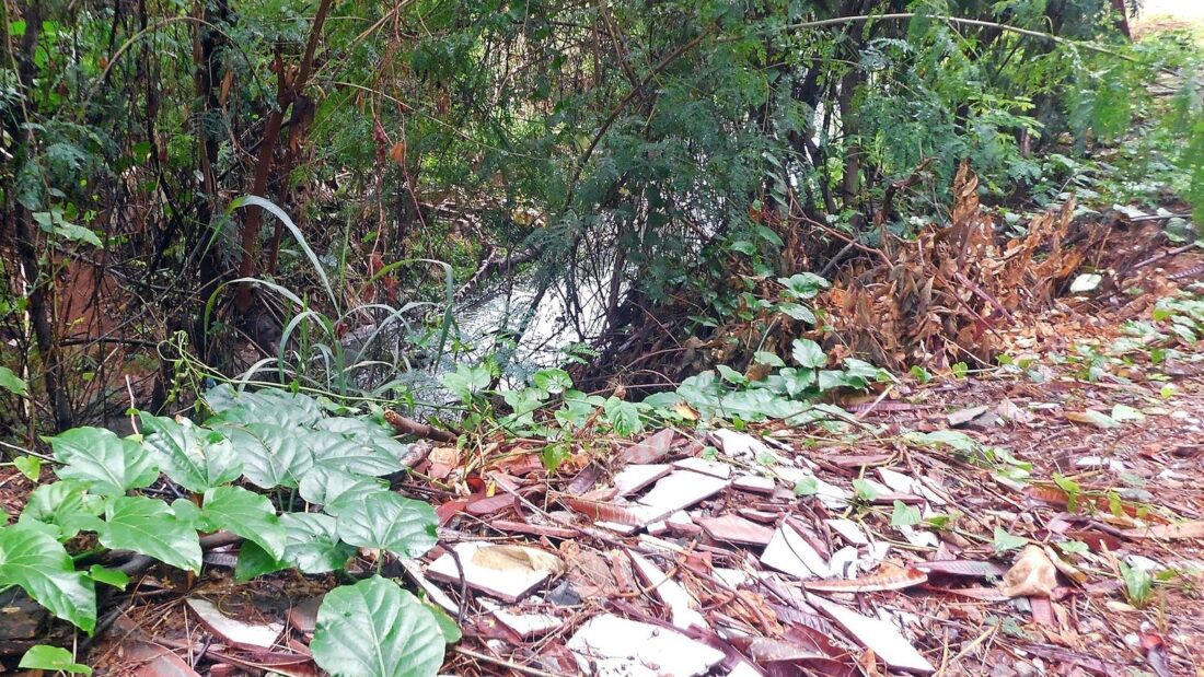 Restos de entulho, telhas e lixo espalhados no chão, à beira de uma área de vegetação
