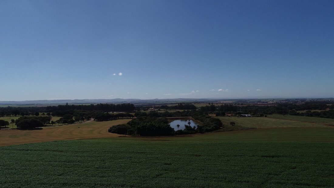 Vista aérea, feita por drone, de uma lavoura extensa ao entardecer, com um pequeno lago e faixas de mata ao fundo