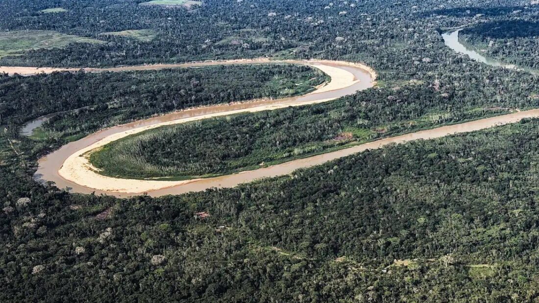 Vista aérea de um rio em curvas atravessando floresta amazônica densa