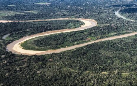 Holanda anuncia US$ 500 milhões para o fundo de florestas tropicais criado pelo Brasil; dinheiro só chega aos países que mantiverem o desmatamento abaixo do limite, medido por satélite