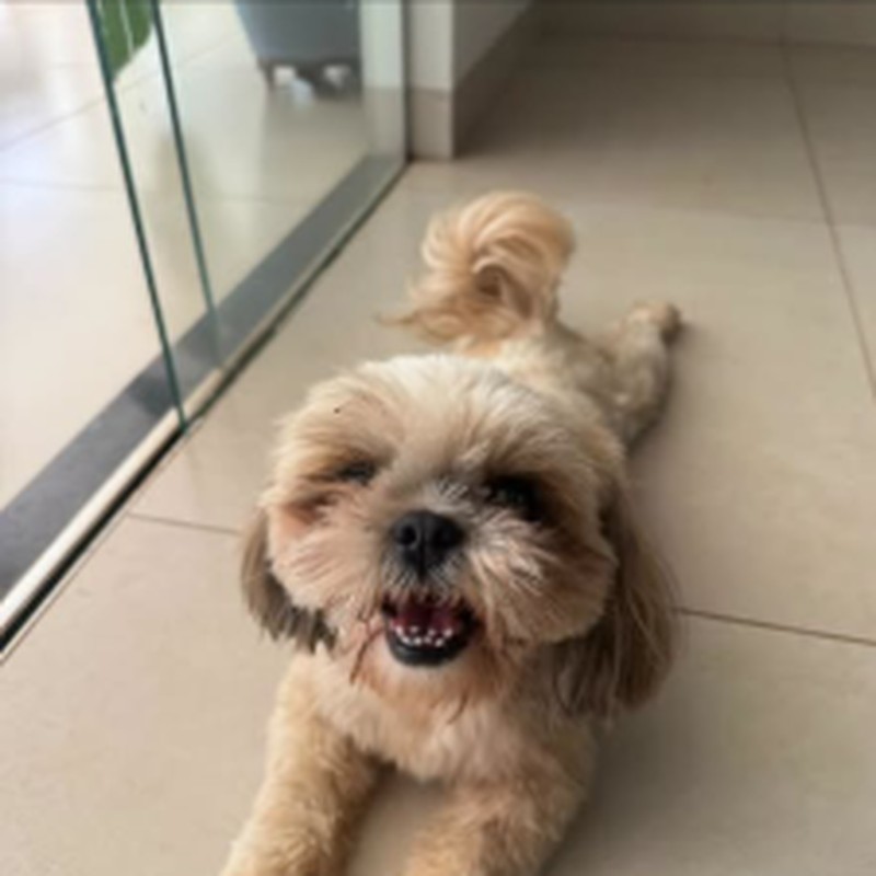 Outra foto de Nina