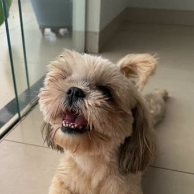 Foto de Nina