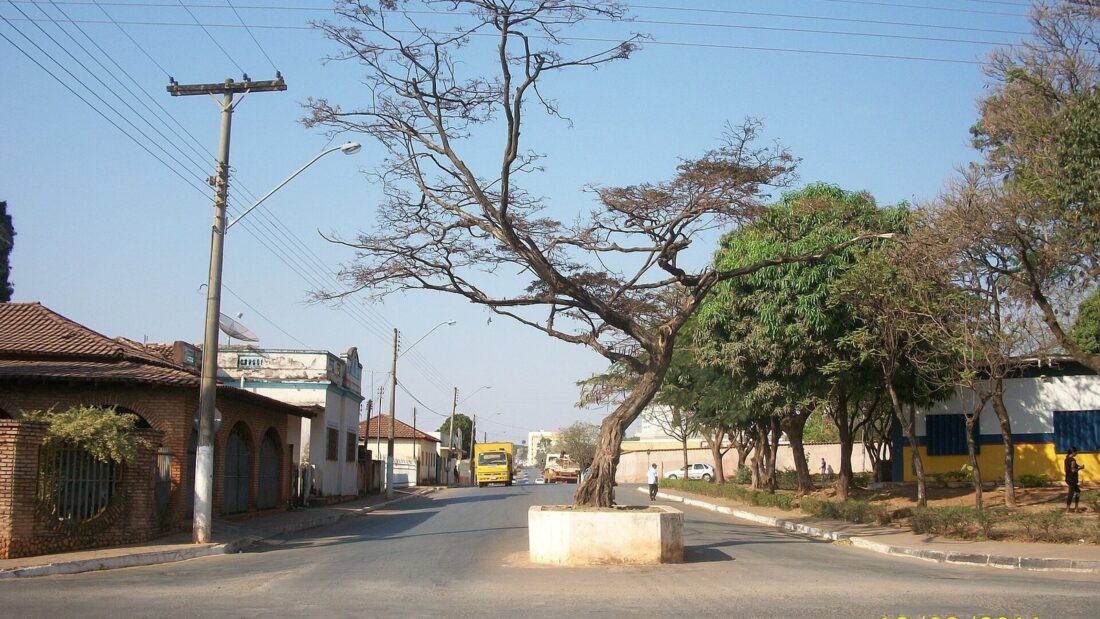 Rua asfaltada de Formosa com uma grande árvore de galhos secos no canteiro central, postes de energia e casas baixas nas laterais, sob céu azul