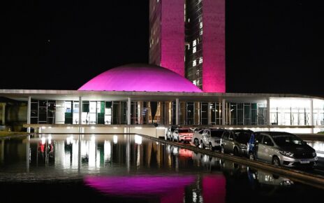 Projeto de Goiânia que reexamina mortes de mulheres ajudou o Brasil a incluir o feminicídio na classificação de doenças da OMS; casos de “acidente” eram assassinatos