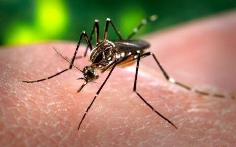 Saúde de Jataí contrata pela quarta vez seguida, sem licitação e em caráter emergencial, a mesma clínica de fonoaudiologia; vans do combate à dengue também saem por dispensa