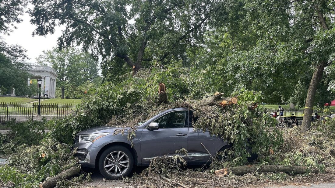 Carro prateado com o capô coberto por galhos e tronco de uma árvore derrubada pelo vento, em rua arborizada