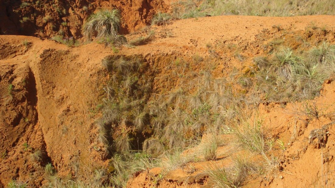 Grande erosão em solo arenoso alaranjado, com paredes de terra expostas e vegetação rasteira nas bordas